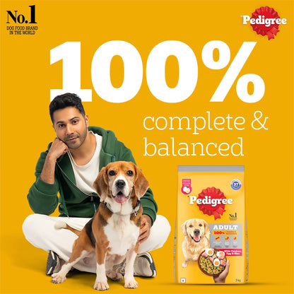 Pedigree Adult Dry Dog Food Chicken Egg & Rice