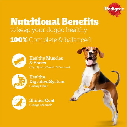 Pedigree Adult Dry Dog Food Chicken & Vegetables