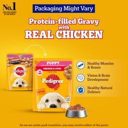 Pedigree Puppy Wet Dog Food Chicken Chunks in Gravy Pouch