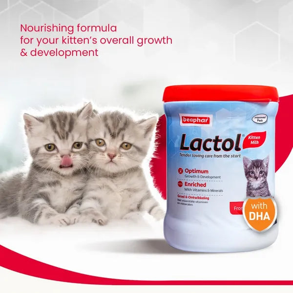 Beaphar Lactol Kitten Milk Replacement 200gm (T)