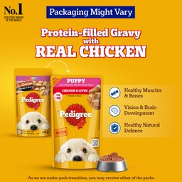 Pedigree Puppy Wet Dog Food with Chicken Chunks in Gravy 130 g
