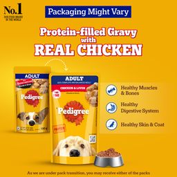 Pedigree Adult Wet Dog Food Chicken & Liver Chunks in Gravy 130 g
