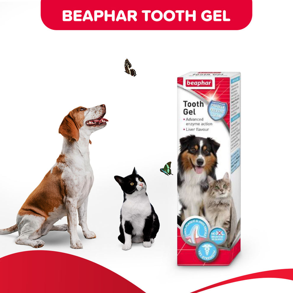 Beaphar Toothgel 100gm