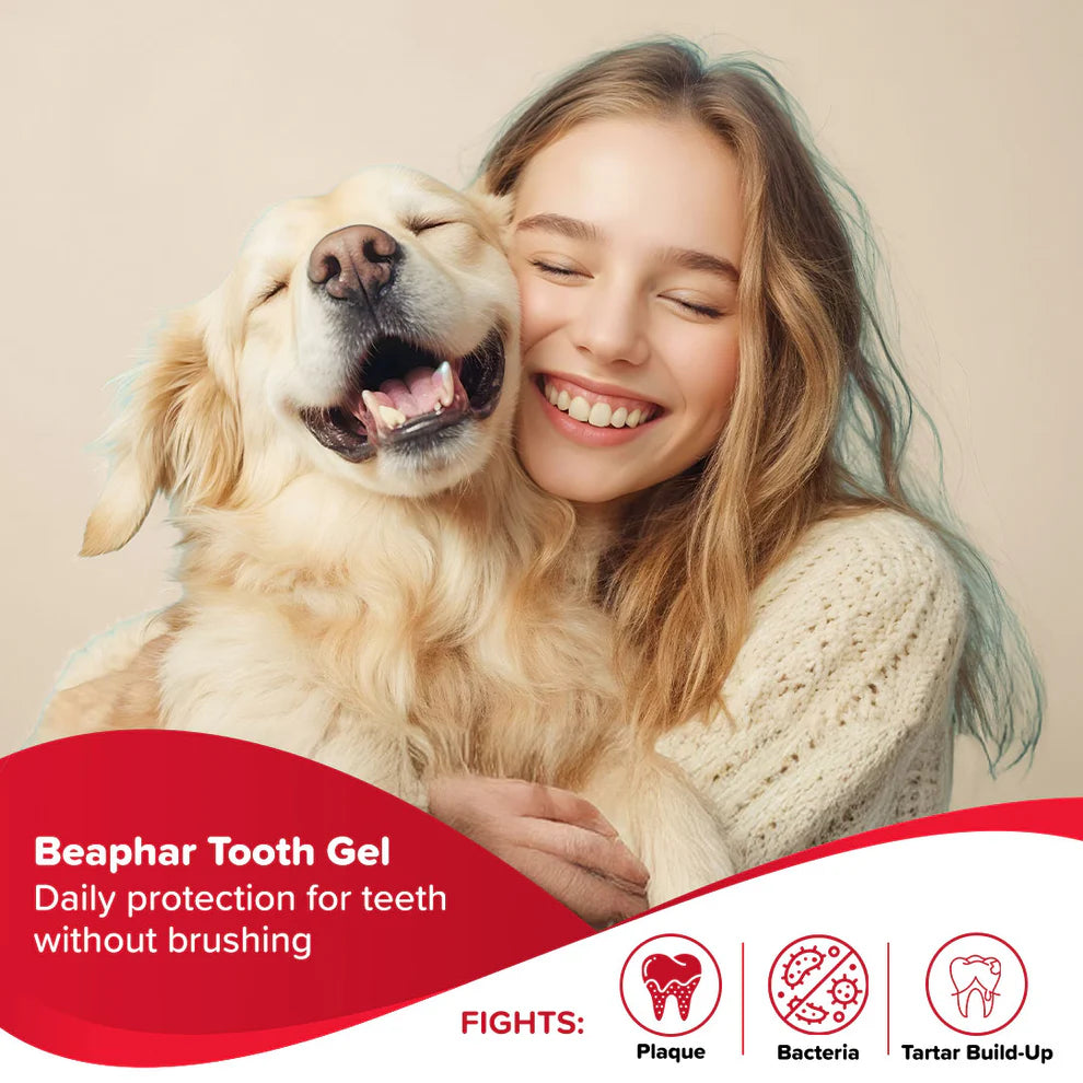 Beaphar Toothgel 100gm