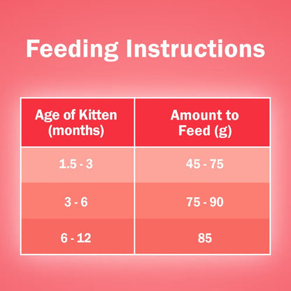 Purina Friskies Kitten Discoveries Dry Cat Food (T)