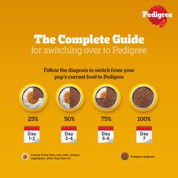 Pedigree Adult Wet Dog Food Chicken & Liver Chunks in Gravy Pouch