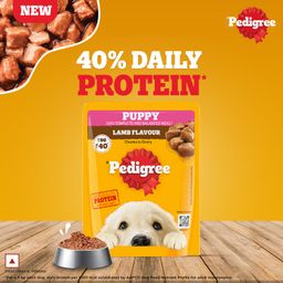 Pedigree Puppy Lamb Flavour Chunks in Gravy Wet Dog Food 70g