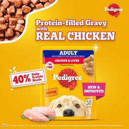 Pedigree Adult Wet Dog Food Chicken & Liver Chunks in Gravy Pouch