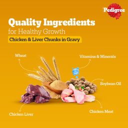 Pedigree Puppy Wet Dog Food Chicken Chunks in Gravy Pouch