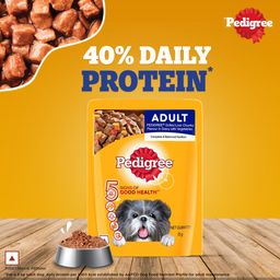 Pedigree Adult Wet Dog Food Grilled Liver Chunks Flavour 70 g