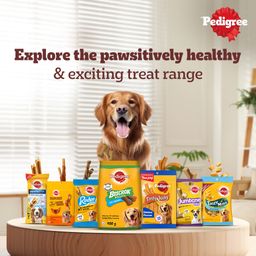 Pedigree RANCHOS Super Bones chicken & milky flavour 70 g