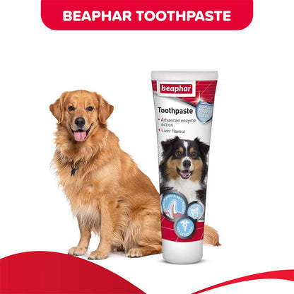 Beaphar Liver Toothpaste - 100gm