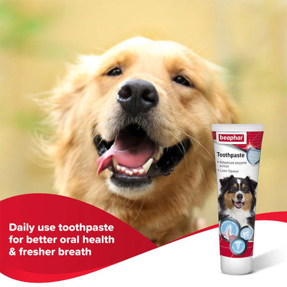 Beaphar Liver Toothpaste - 100gm