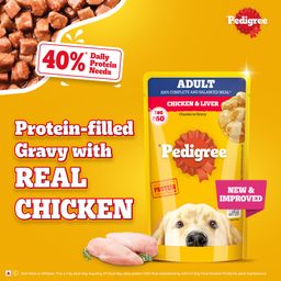 Pedigree Adult Wet Dog Food Chicken & Liver Chunks in Gravy 130 g