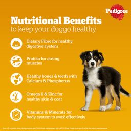 Pedigree Puppy Wet Dog Food Chicken and Liver Chunks Flavour 70 g
