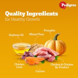 Pedigree Adult Wet Dog Food Chicken Grilled Liver Flavour in Loaf with Vegetables 70 g