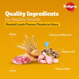 Pedigree Puppy Lamb Flavour Chunks in Gravy Wet Dog Food 70g