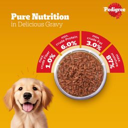 Pedigree Puppy Lamb Flavour Chunks in Gravy Wet Dog Food 70g