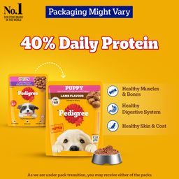 Pedigree Puppy Lamb Flavour Chunks in Gravy Wet Dog Food 70g