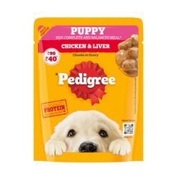 Pedigree Puppy Wet Dog Food Chicken Chunks in Gravy Pouch