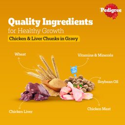 Pedigree Adult Wet Dog Food Chicken & Liver Chunks in Gravy 130 g