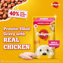Pedigree Puppy Wet Dog Food with Chicken Chunks in Gravy 130 g