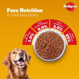 Pedigree Adult Wet Dog Food Chicken & Liver Chunks in Gravy 130 g